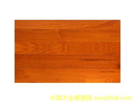 ������ľ��Ԕ����B