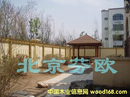 ̼��ľ��Ԕ����B