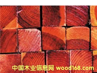 ���S(ch��ng)�DƬ3