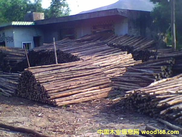 �c���鿴���Ŵ�DƬ