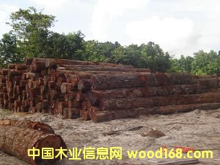 �F���ӵ�Ԕ��(x��)��B