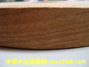 ̩�ַ�߅�l��Ԕ��(x��)��B