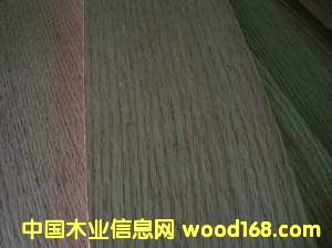 �t��ľƤ��Ԕ��(x��)��B