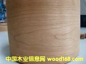 ���ҷ�߅�l��Ԕ��(x��)��B