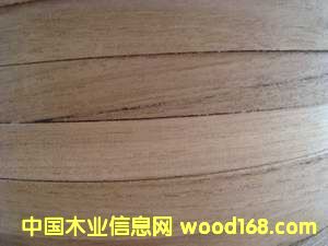 �ľ��߅�l��Ԕ��(x��)��B