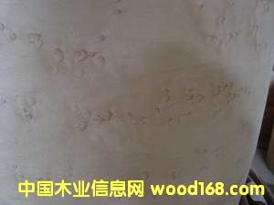 ��ľȸ��ľƤ��Ԕ��(x��)��B