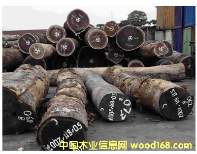 �c���鿴����(y��ng)�����u��ľ�Ŵ�DƬ