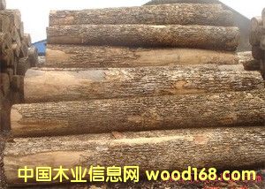 �c(di��n)���鿴��z�ľ�Ŵ�DƬ