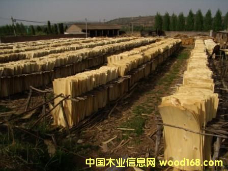 ��ľ�ΰ��Ԕ��(x��)��B