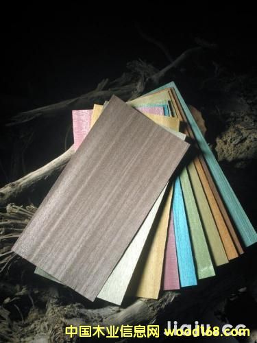 ȾɫľƤ��Ԕ����B