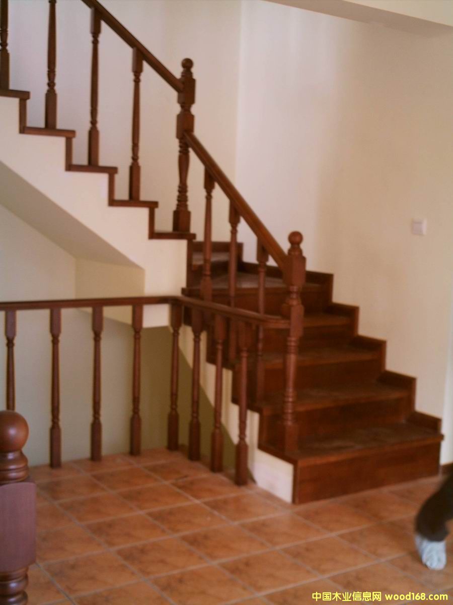 �c(di��n)���鿴��(sh��)ľ���ݷŴ�DƬ