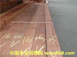 ��ɼ�����t��(c��)�ء�������� ��western red ceda