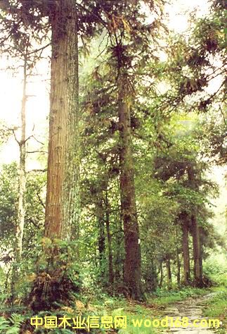 �c(di��n)���鿴ɼľ�Ŵ�DƬ