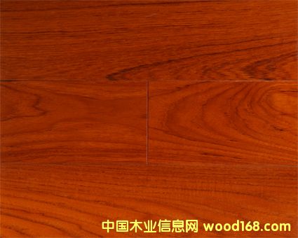 �c���鿴̩�ֶ��ӌ�ľ��(f��)�ϵذ�Ŵ�DƬ