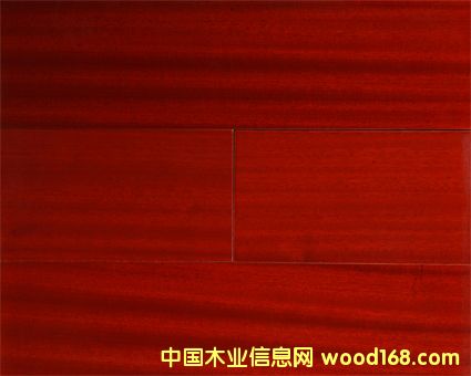 �c���鿴ɳ�������ӌ�ľ��(f��)�ϵذ�Ŵ�DƬ