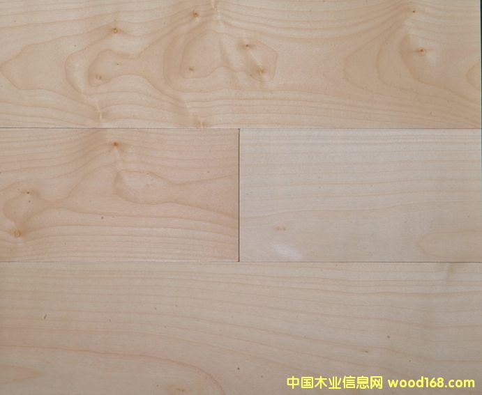 �c���鿴�ӗ����ӌ�ľ��(f��)�ϵذ�Ŵ�DƬ