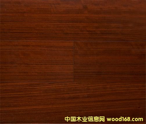 �c���鿴������ľ�Ŵ�DƬ