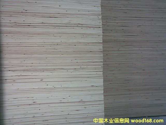 �c(di��n)���鿴ɼľƴ��.ɼľ����Ŵ�DƬ