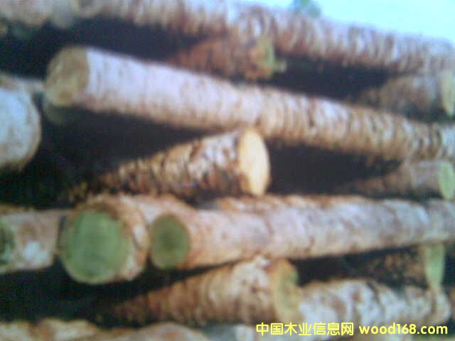 �c(di��n)���鿴ľ-ԭ���ϷŴ�DƬ