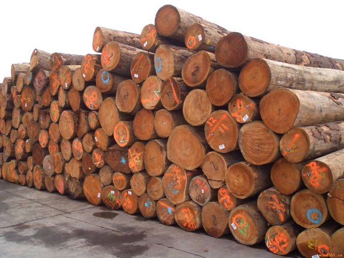 ����ԭľ��Ԕ��(x��)��B