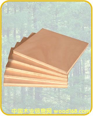 ��(x��)ľ�����Ԕ��(x��)��B