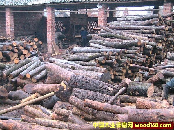 ���ԭľ��Ԕ��(x��)��B