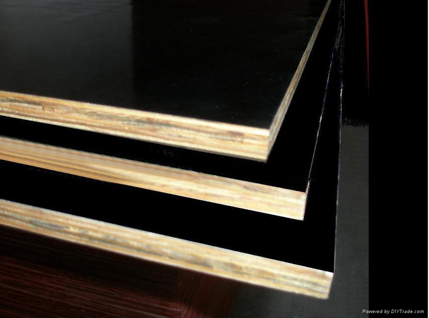 �c���鿴��ɫ��Ĥ��Ŵ�DƬ