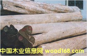 �c(di��n)���鿴��ľ�Ŵ�DƬ