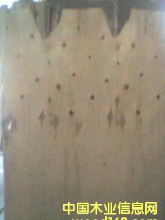 �c(di��n)���鿴С����Ŵ�DƬ