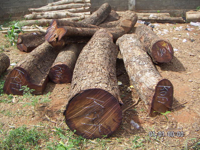 �c���鿴������/����ľ�Ŵ�DƬ