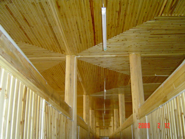 �۰壳��Ԕ��(x��)��B