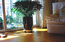 �c(di��n)���鿴ɭ��֮�þ�����ľ�Ŵ�DƬ