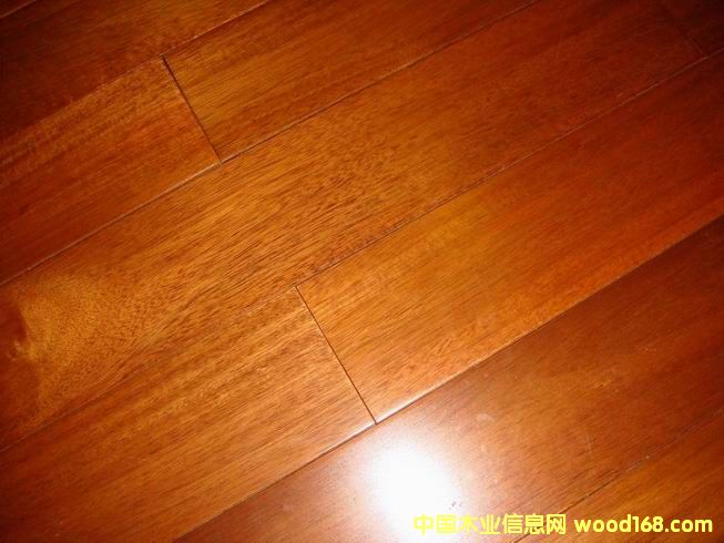 �c(di��n)���鿴��ȩ�z�Ŵ�DƬ