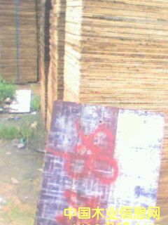 �c(di��n)���鿴���а�Ŵ�DƬ