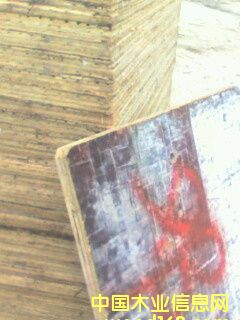 �c(di��n)���鿴����u�а�Ŵ�DƬ