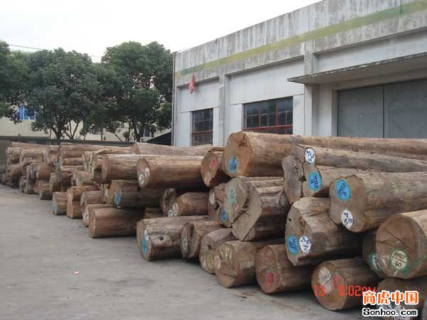 �c(di��n)���鿴ľ��3�Ŵ�DƬ