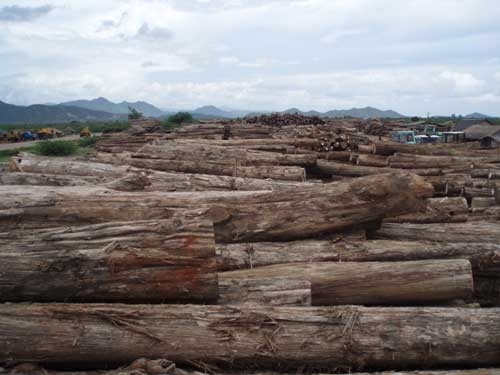 �c(di��n)���鿴ԭľ2�Ŵ�DƬ