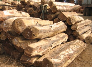 �c(di��n)���鿴ľ��2�Ŵ�DƬ