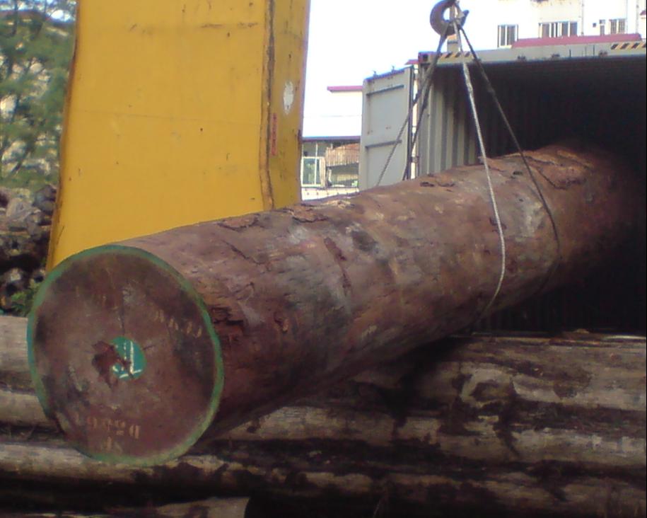 �c���鿴ɳ����ԭľ�Ŵ�DƬ