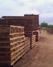 �c(di��n)���鿴ɼľ���ϷŴ�DƬ