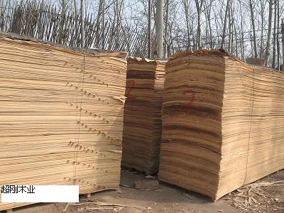 �c(di��n)���鿴��ľ�ΰ�Ŵ�DƬ