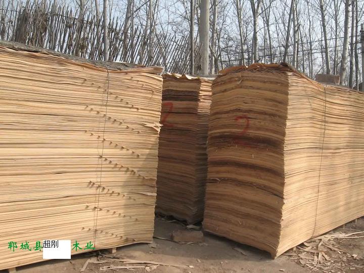 �c(di��n)���鿴��ľ�ΰ�Ŵ�DƬ