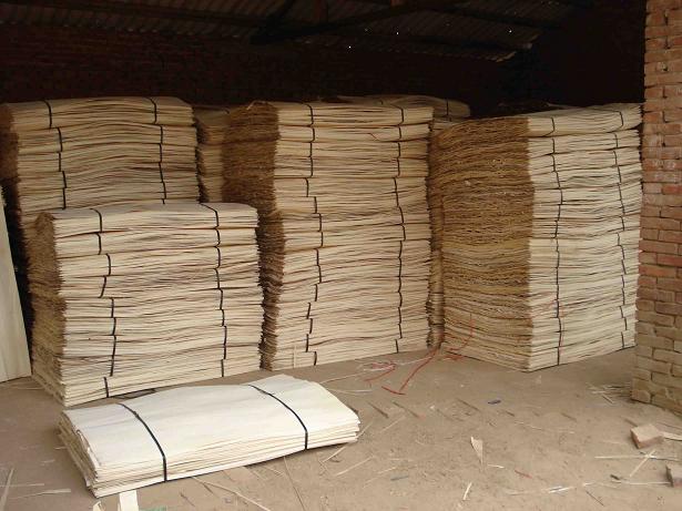 �c(di��n)���鿴��ľ�A�İ�Ŵ�DƬ