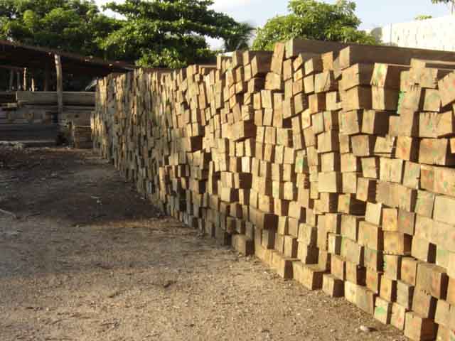 �c���鿴��ľ�Ŵ�DƬ