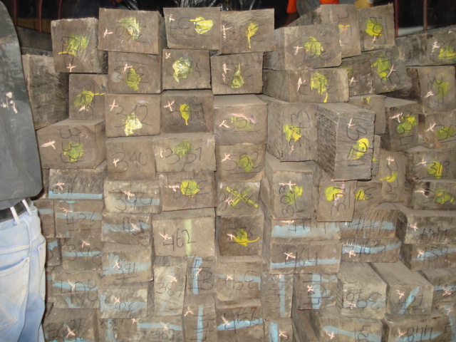 �c���鿴�M�������t̴���G̴���Fľ��Pog�ȷ�ľ�Ŵ�DƬ