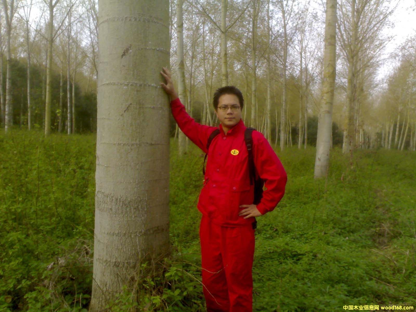 �c(di��n)���鿴�����ח�Ŵ�DƬ