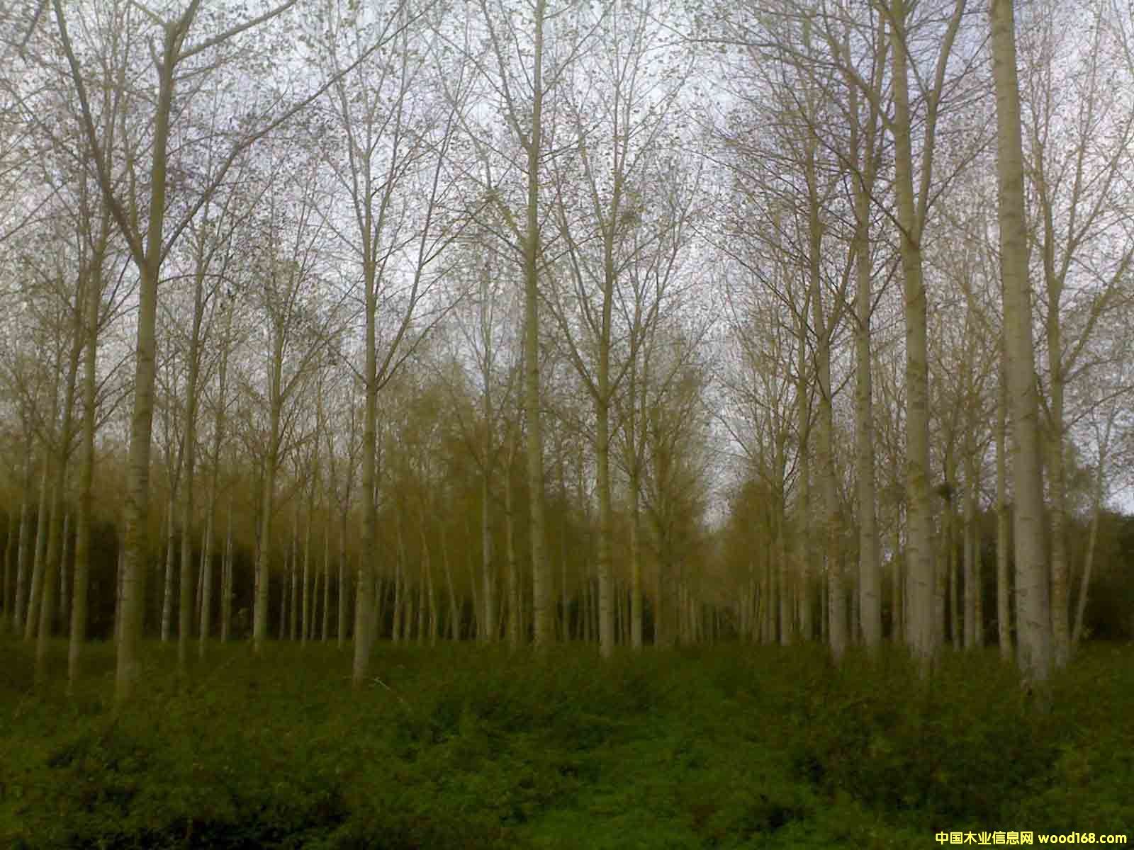 �c(di��n)���鿴����С���ח�Ŵ�DƬ