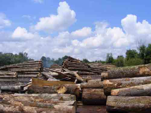 �c(di��n)���鿴�W�ް���ԭľ�Ŵ�DƬ