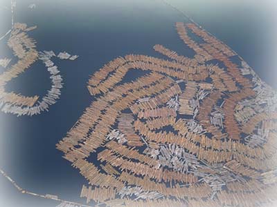 �c(di��n)���鿴������Ҫ��N�Ŵ�DƬ