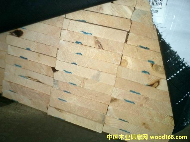 �c(di��n)���鿴ľ�ݷŴ�DƬ